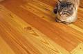 SYP Flooring SYP Flooring
