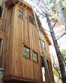 Outside View - Siding / Trestlewood II