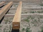 TWII C-S Timbers/For Approval / Timbers for Approval
