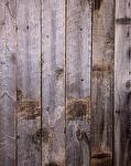 Antique Barnwood Gray Rough Lumber