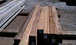 TWII Salty Fir Timbers - Customer Order