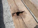 Weathered Timber Characteristics--Notches