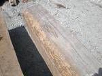 Weathered Timber Characteristics--Surface Degrade