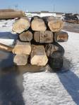 Big Oak Logs from U.P. / U.P. Yard Clean Up Project