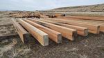 Trestlewood II Salty Fir Long Timbers
