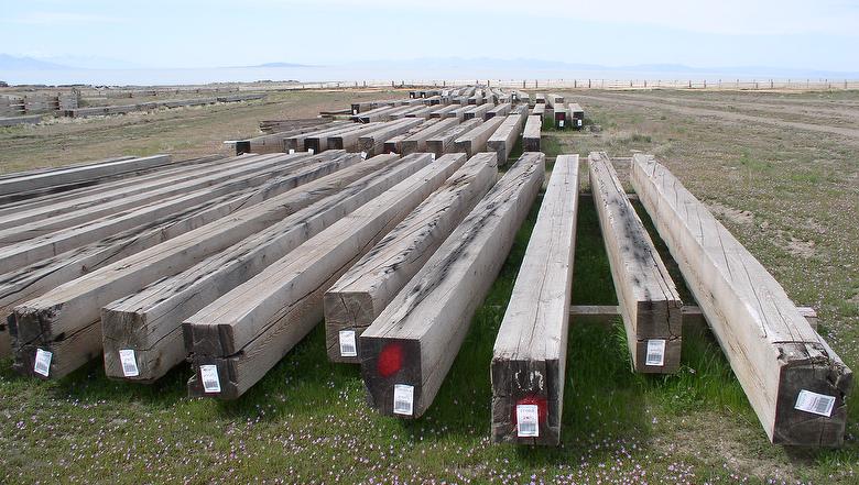 Weathered Spruce Timbers (8x10, 10x12, 10x14, 12x16)