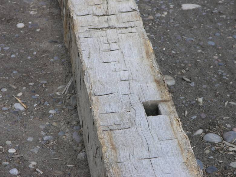 Oak Hand Hewn Timbers / long hand hewn timbers (close up--mortice pocket)