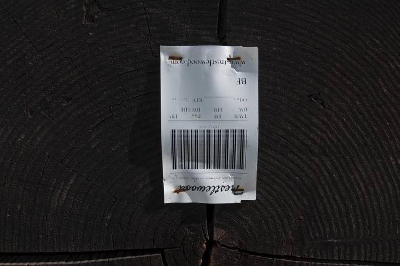 Barcode record