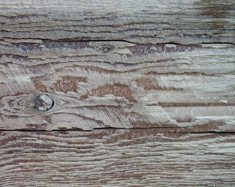 TWII Weathered Timber Close-Up