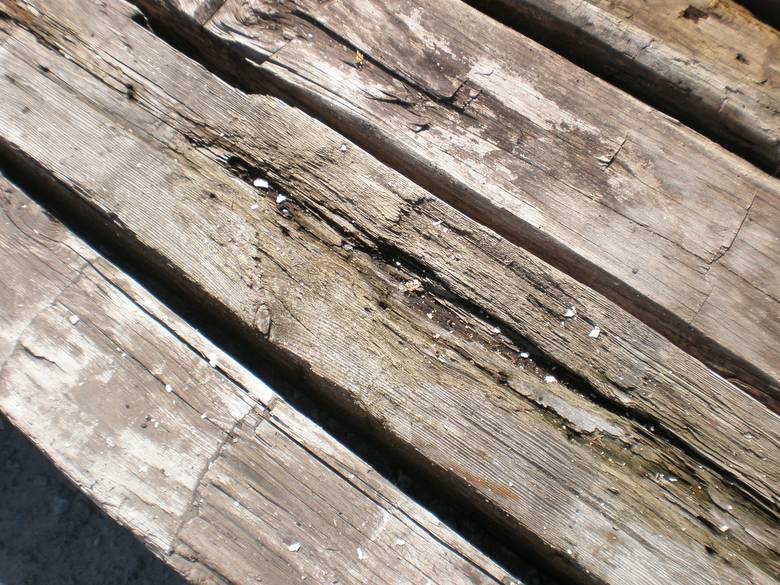 Hand Hewn Timbers Surface Degrade