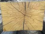 Long Hand-Hewn Timbers