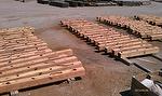 Harbor Fir Timbers - Customer Order