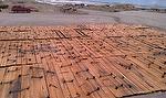 Harbor Fir Timbers and Lumber - Texas Order