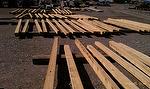 Timber Review for Texas Customer