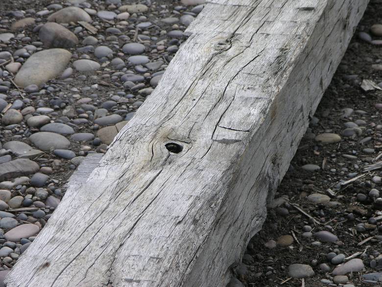 Oak Hand Hewn Timbers / long hand hewn timbers