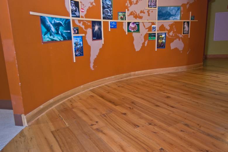 Trailblazer Mixed Hardwood Smooth Flooring / Field Museum