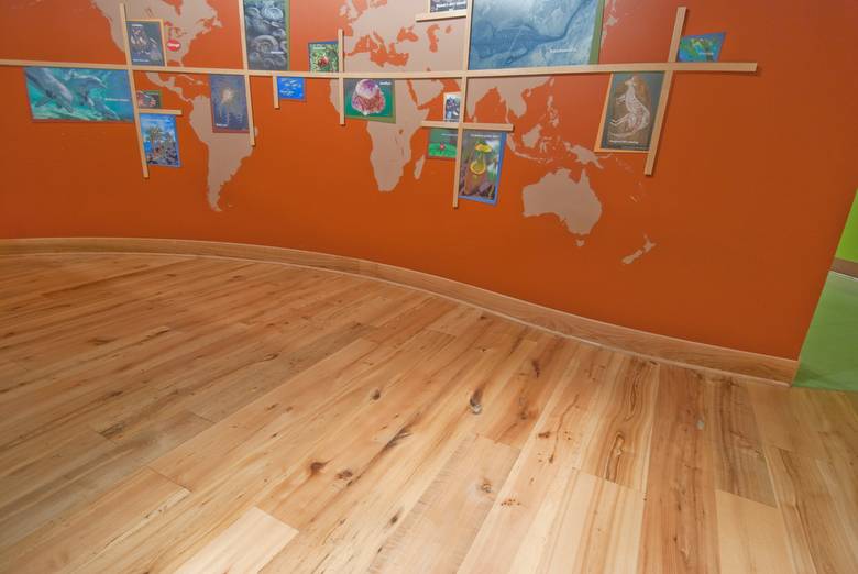 Trailblazer Mixed Hardwood Smooth Flooring / Field Museum