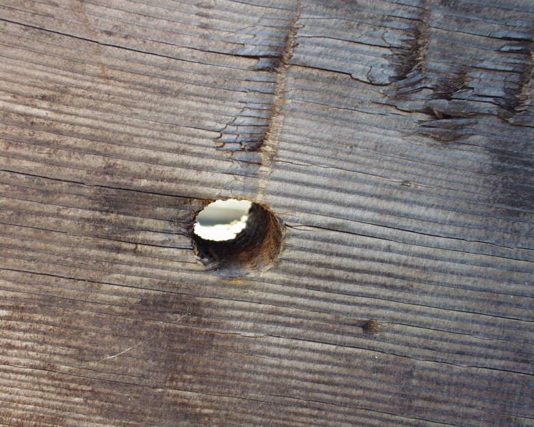 Willamette Character Timbers / Bolt hole close-up