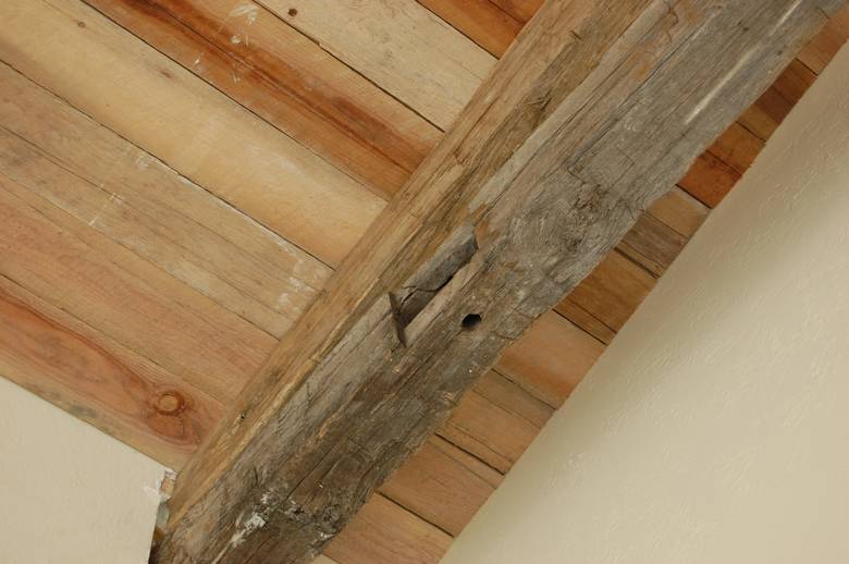 Hand Hewn Oak Trusses and TWII Resawn Slab Ceiling