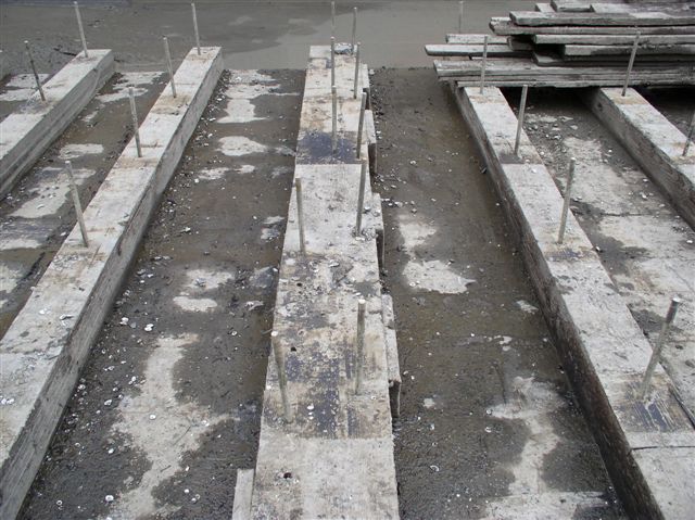 11x13 Keelsons / Pegs in 13