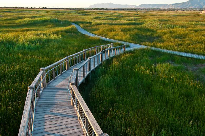 Board walk (from the tower)