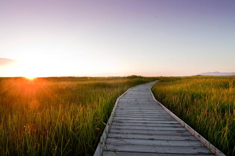 board walk