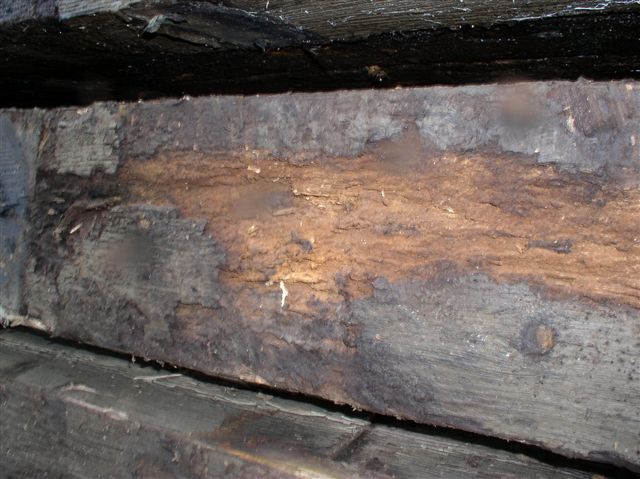 10 x 12 Timber with surface rot