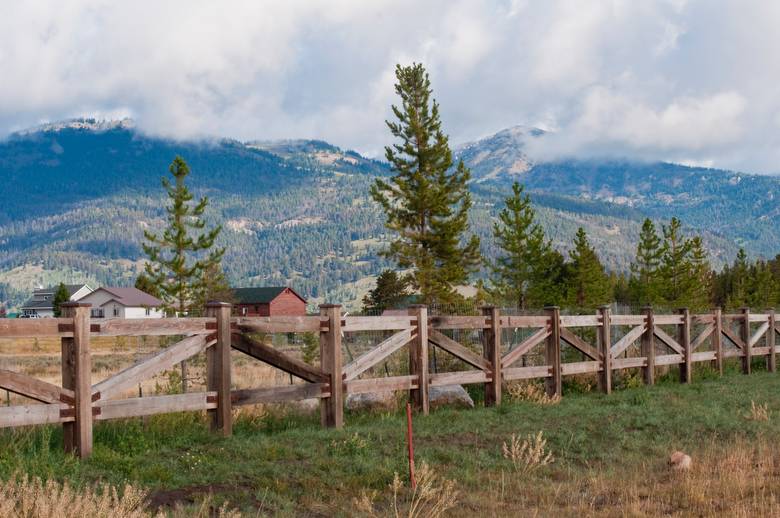 Fencing Posts and Lumber