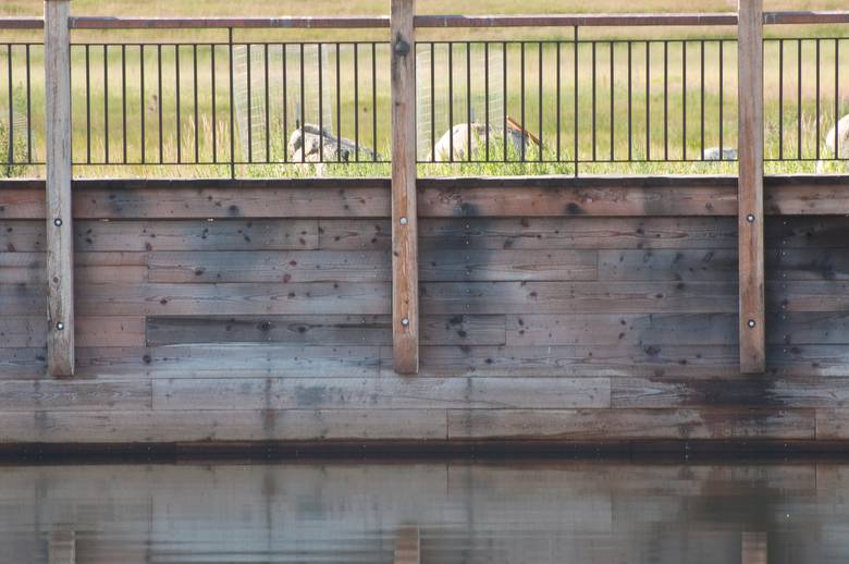 Sea Wall and Railing