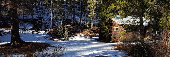 Cabin weathered brown