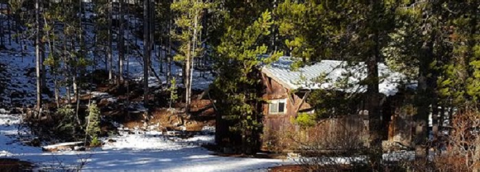 Cabin Weathered Brown