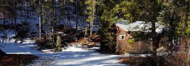 Cabin Weathered Brown