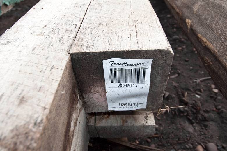 BC 49123--Trailblazer Timber (Not Oak)