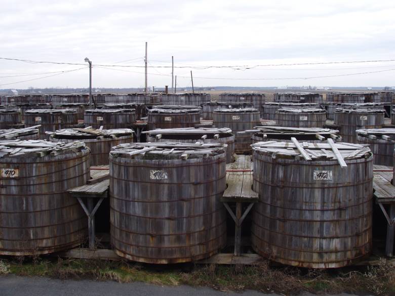 Overlooking Pickle Tanks from the Side / These are wooden pickle vats in a pickle processing plant