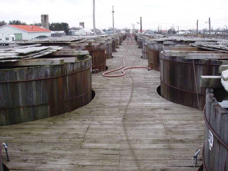Pickle Tanks from the Walkway / These are wooden pickle vats in a pickle processing plant
