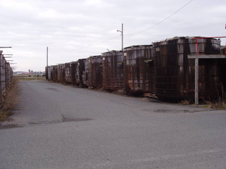 Pickle Tanks from Ground Level / These are wooden pickle vats in a pickle processing plant