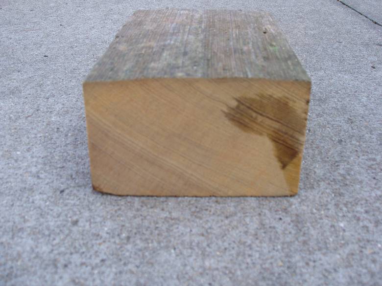 Cypress Picklewood Sample / Shows cut end and weathered face