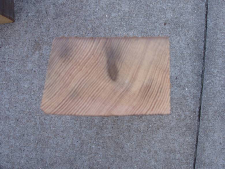 Douglas Fir Picklewood Sample / Shows cut end