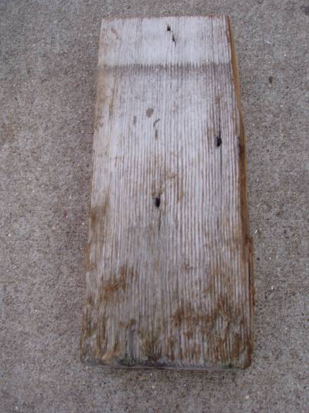 Douglas Fir Picklewood Sample / Shows weathered face (interior)