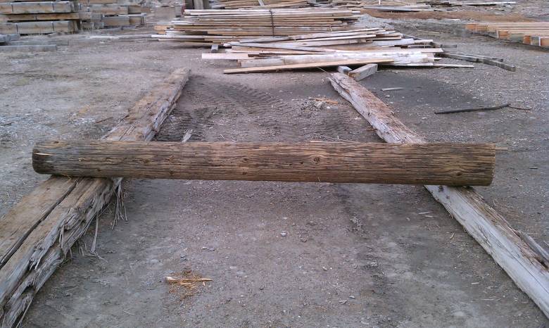 Cedar Pole for Nature Museum Bird Exhibit