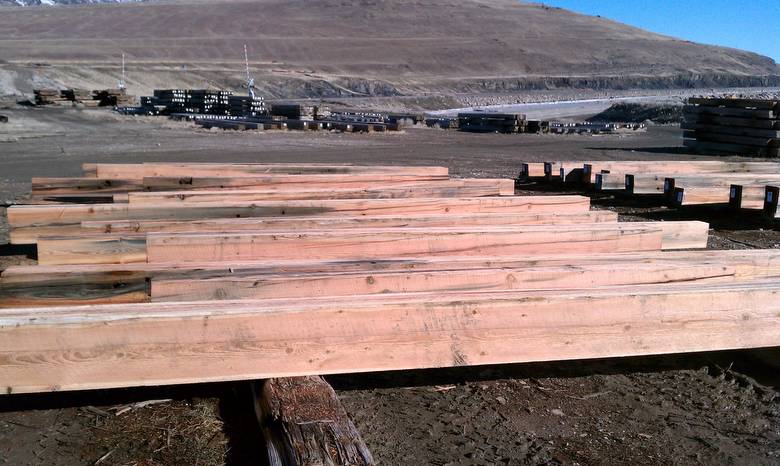 TWII Character Timbers cut from Butt Ends of Piling
