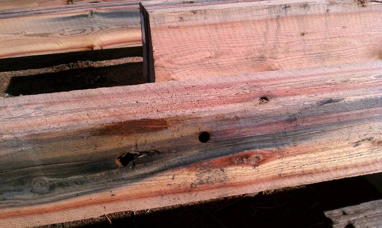 TWII Character Timbers cut from Butt Ends of Piling--holes and staining