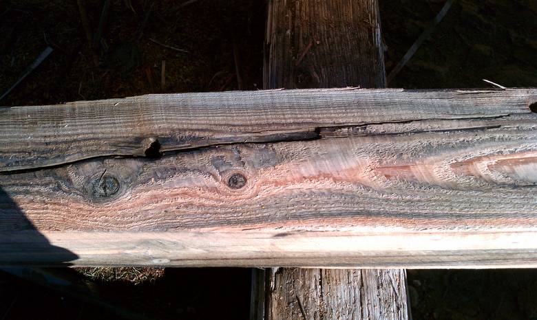 TWII Character Timbers cut from Butt Ends of Piling--holes and staining