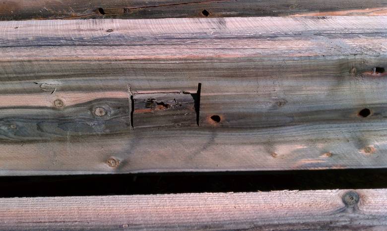 TWII Character Timbers cut from Butt Ends of Piling--notch for metal removal