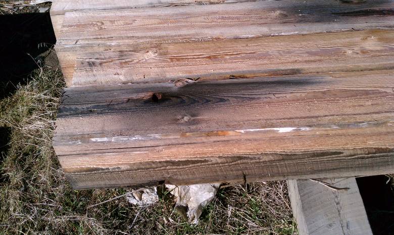 TWII Character Timbers cut from Butt Ends of Piling--staining