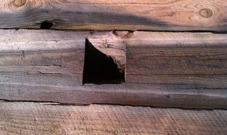 TWII Character Timbers cut from Butt Ends of Piling--notch
