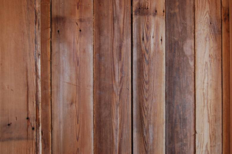 Inside of Main Barn - 7" Shiplap Smooth Brown