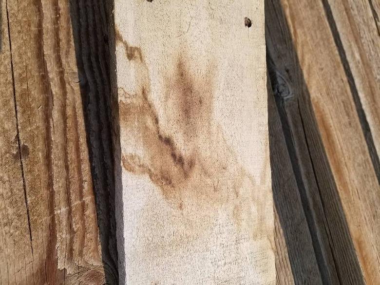 Water Stained Gray Side (NA Maple) - 50%/50% Experiment