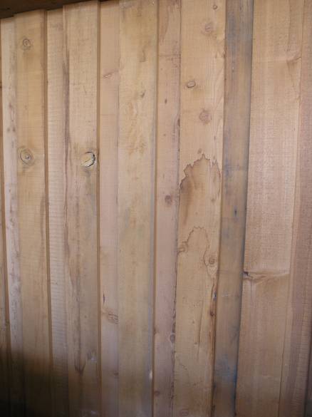 Reclaimed Douglas Fir (Board on Board)