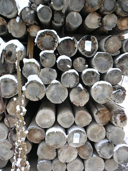 Potato cellar Poles